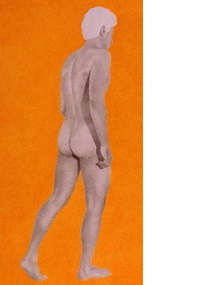 n°336 Diptyque